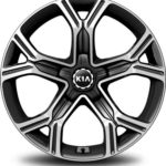18 and 19 inch wheel center caps