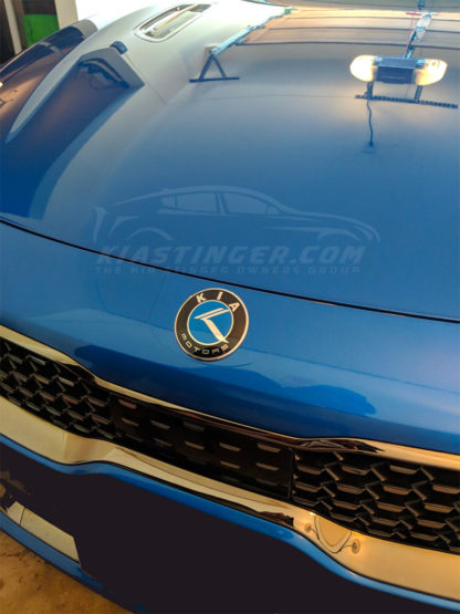 kia motors blue badge on stinger