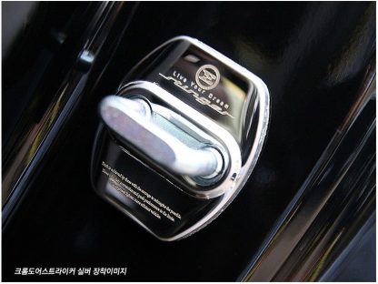 Door Striker Cover