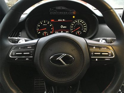 loden steering wheel emblem on kia stinger