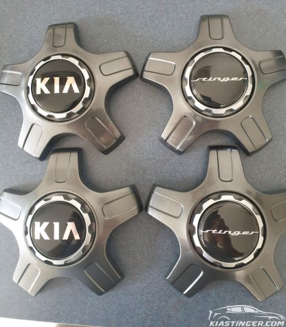 Stinger Wheel Center Cap Overlays - Image 3