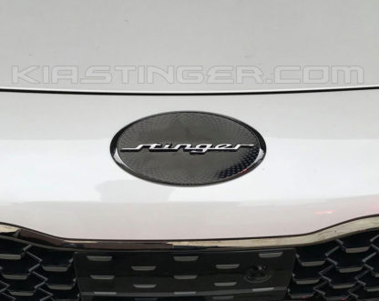 oval stinger hood emblem badge on white stinger