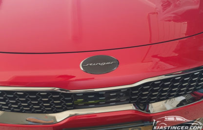 oval stinger badge emblem