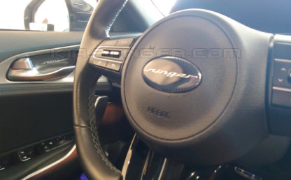 kia stinger steering wheel and door handle cover