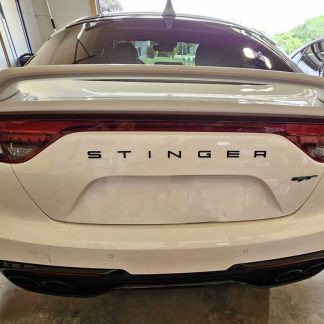 Alternative Stinger Badge