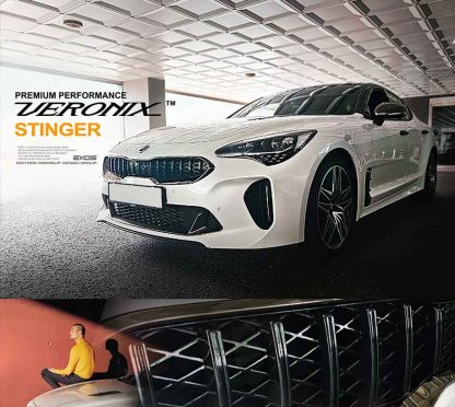Direct Replacement Sport Grille - Image 5