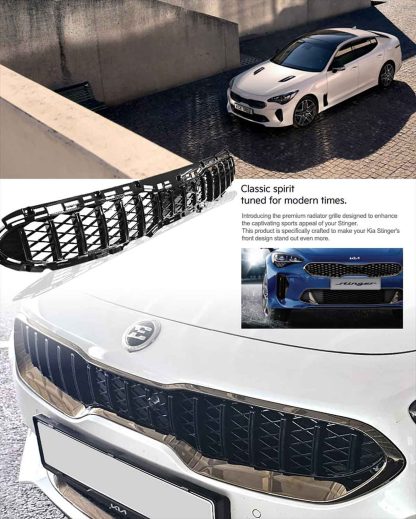 Direct Replacement Sport Grille - Image 4