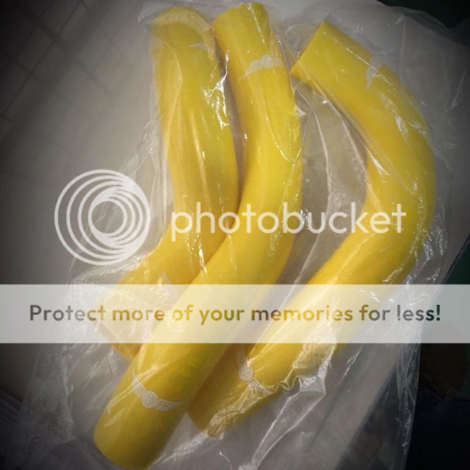 BDR%20HOSES2.jpg