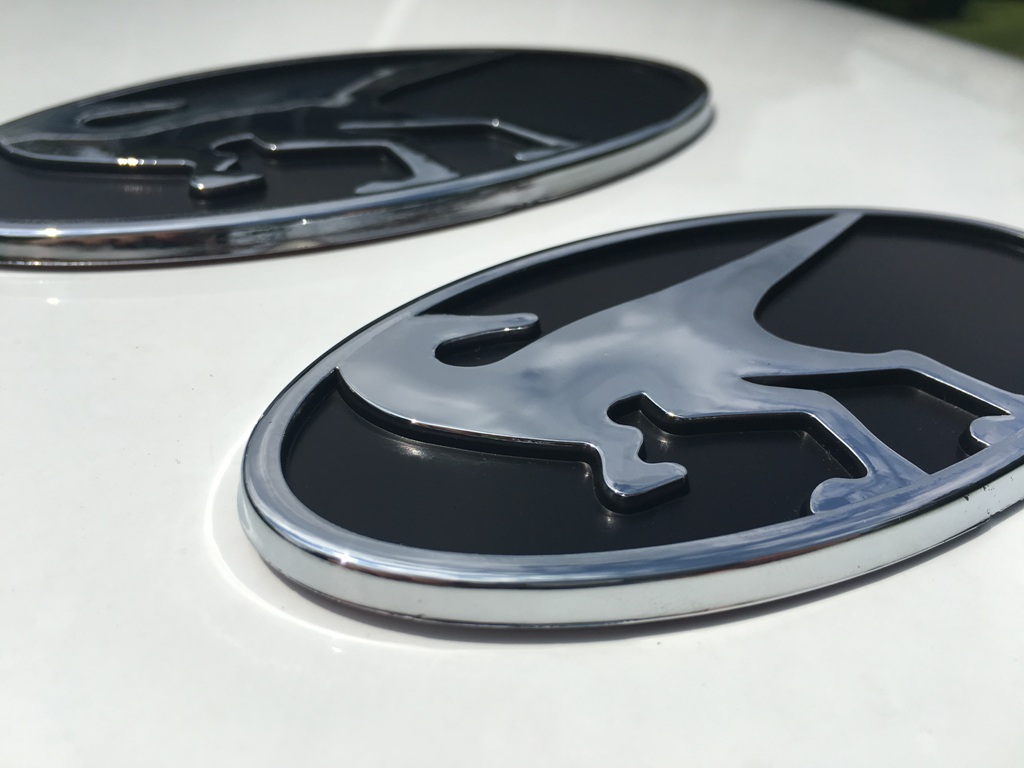 Raptor%20chr%20emblems%20(4).JPG