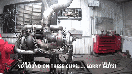 16qiv4w05ag01.gif