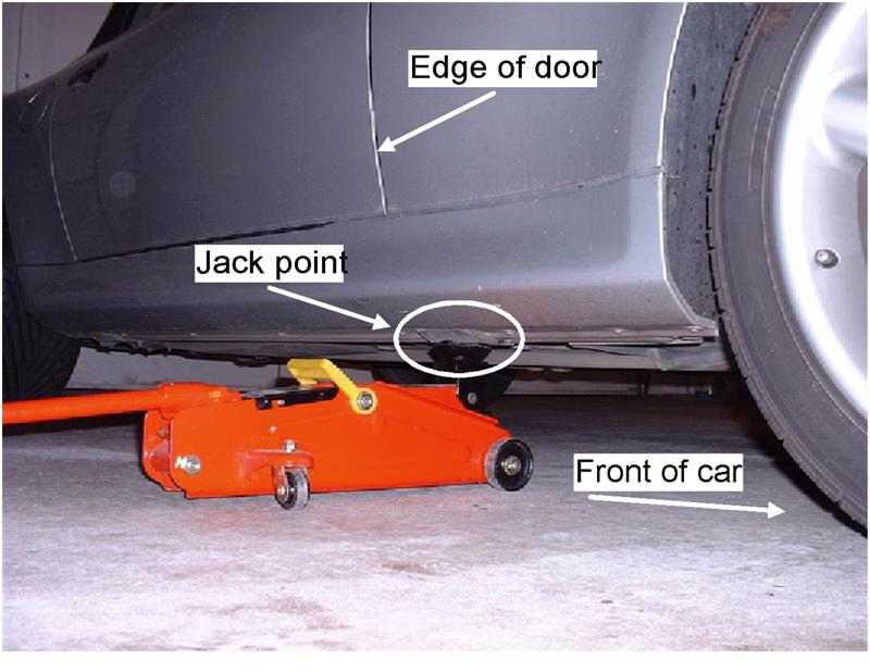 Jack1.jpg