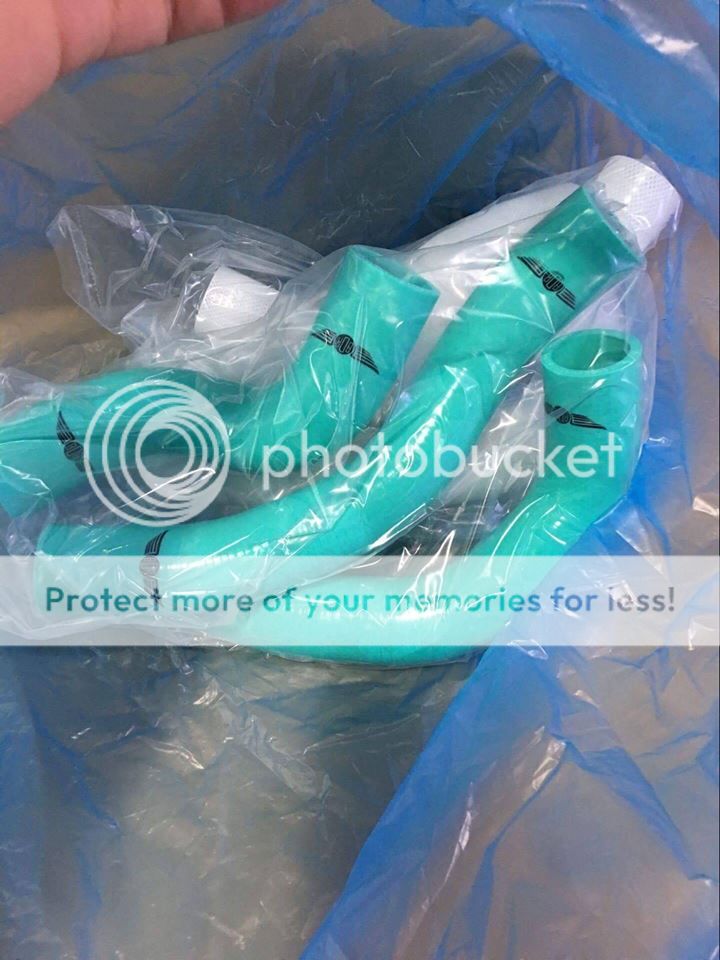 BDR%20HOSES%203.jpg