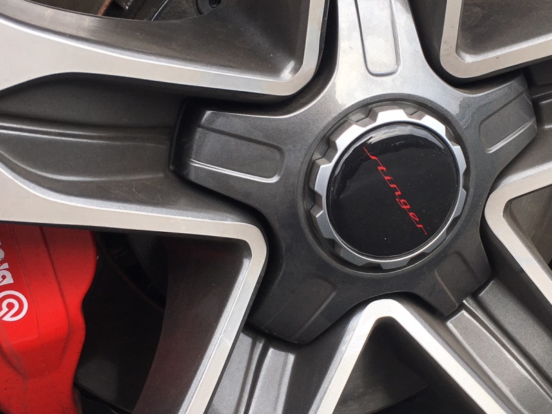 EVGR%20Stinger%20wheel%20caps%20(10).JPG