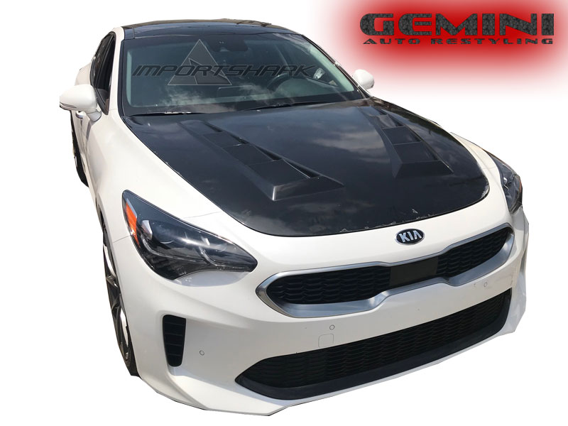 Gemini%20STG%20hood%20(1).jpg